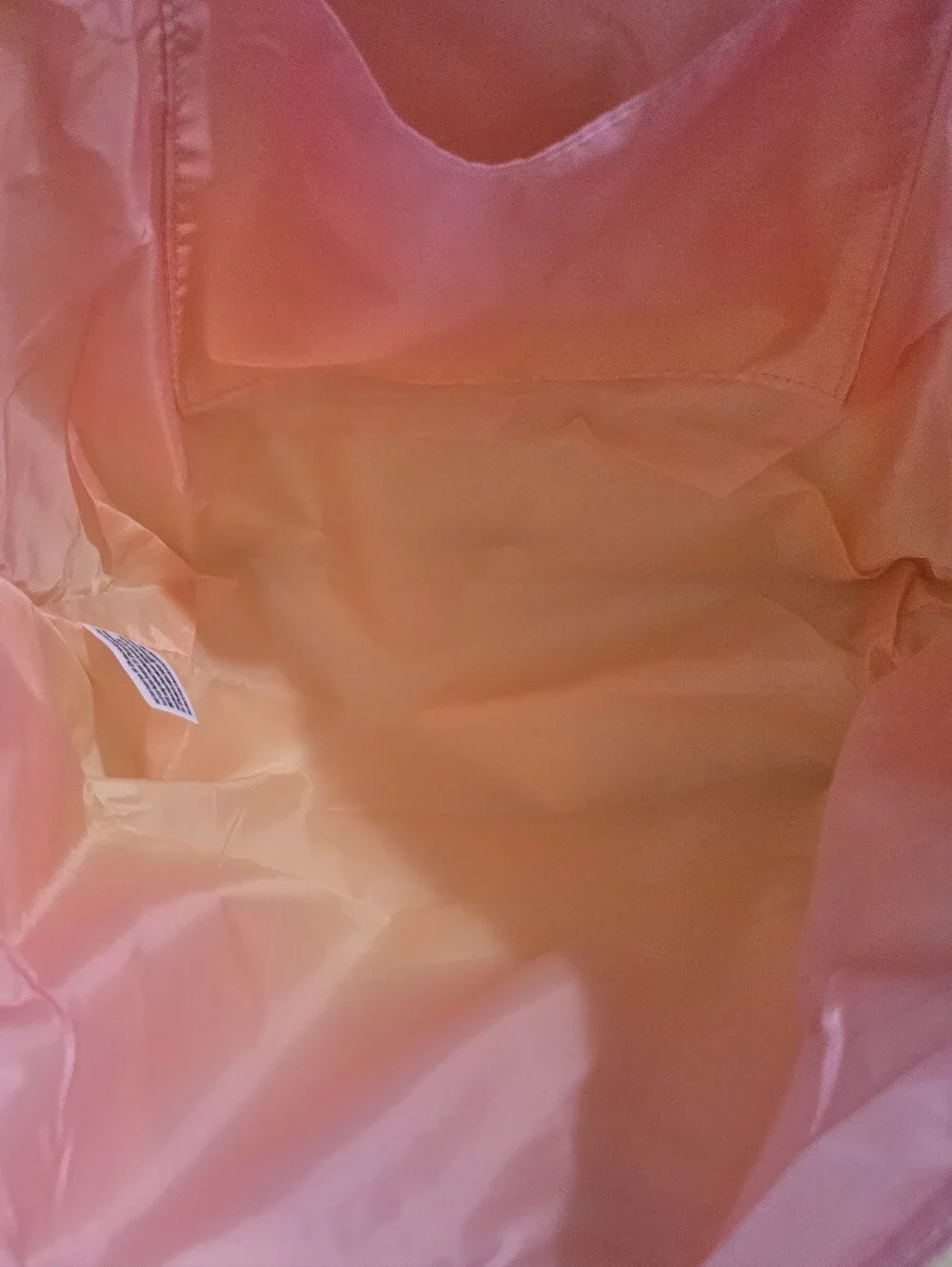NWT Victoria's Secret Tote Bag Ombre